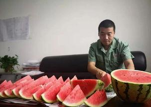 今日份快乐吃瓜群众,快乐吃瓜群众的热议焦点 第2张 今日份快乐吃瓜群众,快乐吃瓜群众的热议焦点 第2张