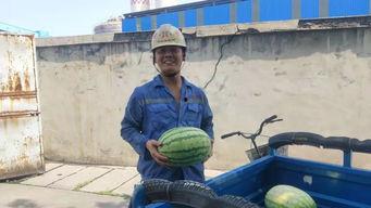 今日份快乐吃瓜群众,快乐吃瓜群众的热议焦点 第3张 今日份快乐吃瓜群众,快乐吃瓜群众的热议焦点 第3张