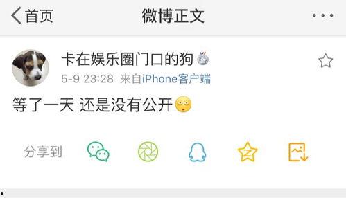 吃瓜爆料 awcg,吃瓜爆料，AWCG带你探秘幕后真相  第1张