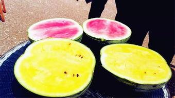 最新吃瓜爆料1207,娱乐圈最新八卦大揭秘！  第3张