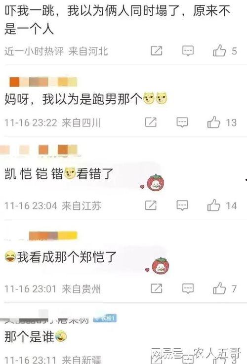 今日娱乐吃瓜最新信息网,揭秘娱乐圈最新“吃瓜”资讯  第2张