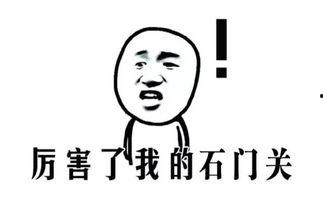 娱乐吃瓜娃子酱,揭秘娱乐圈幕后故事  第2张