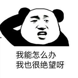 娱乐吃瓜娃子酱,揭秘娱乐圈幕后故事  第3张