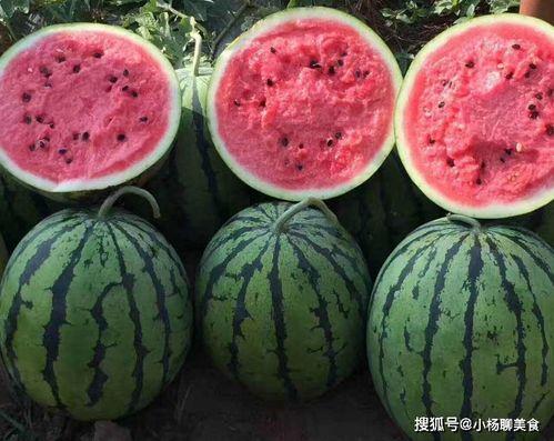 不舍昼夜吃瓜娱乐,揭秘不舍昼夜的娱乐盛宴 第2张 不舍昼夜吃瓜娱乐,揭秘不舍昼夜的娱乐盛宴 第2张