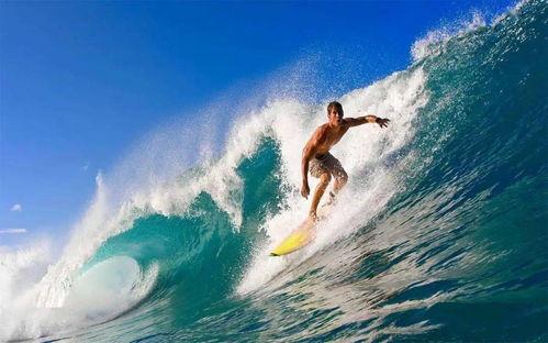 娱乐吃瓜君冲浪,揭秘娱乐圈最新热点事件 第2张 娱乐吃瓜君冲浪,揭秘娱乐圈最新热点事件 第2张